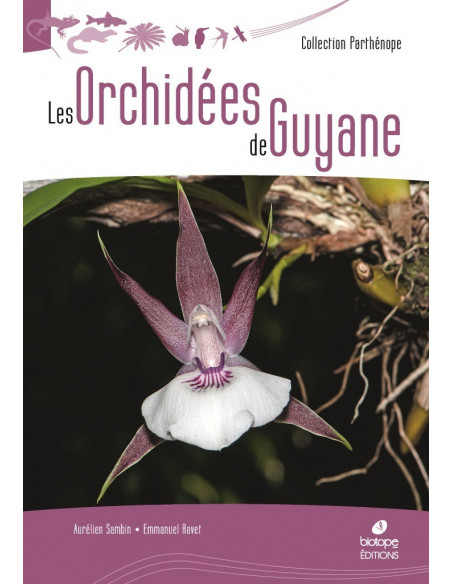 Les Orchidées de Guyane
