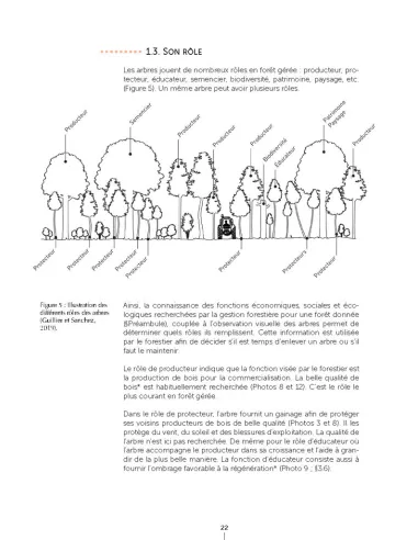 Un autre regard sur la forêt