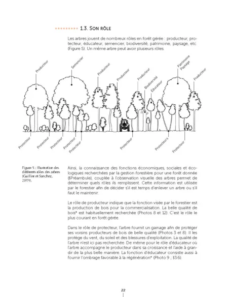 Un autre regard sur la forêt