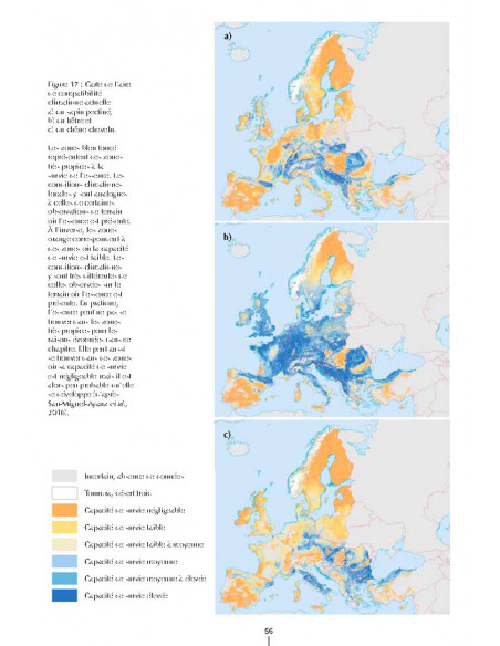 Un autre regard sur la forêt