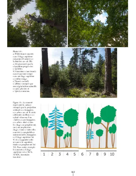 Un autre regard sur la forêt