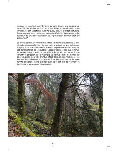 Un autre regard sur la forêt