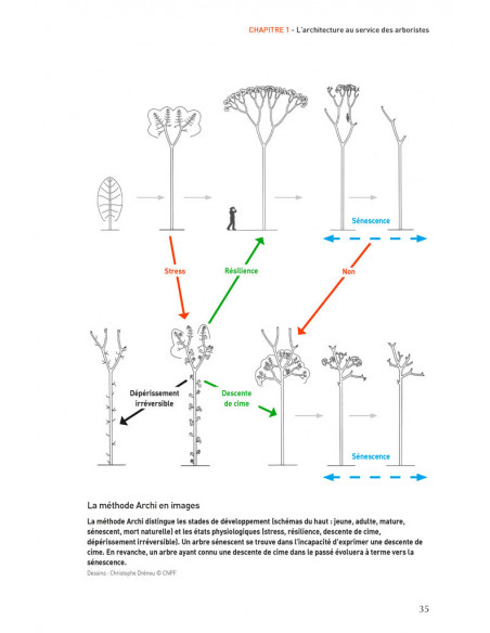 La taille des arbres d'ornement - du pourquoi au comment 2ème édition