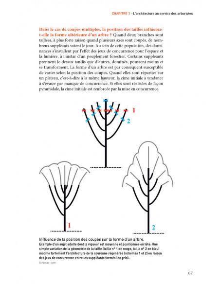 La taille des arbres d'ornement - du pourquoi au comment 2ème édition