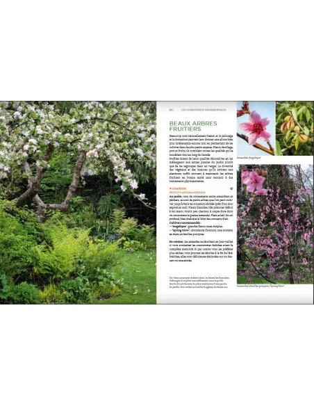 Toutes les plantes belles et comestibles