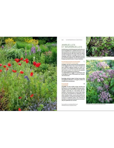 Toutes les plantes belles et comestibles