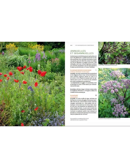 Toutes les plantes belles et comestibles