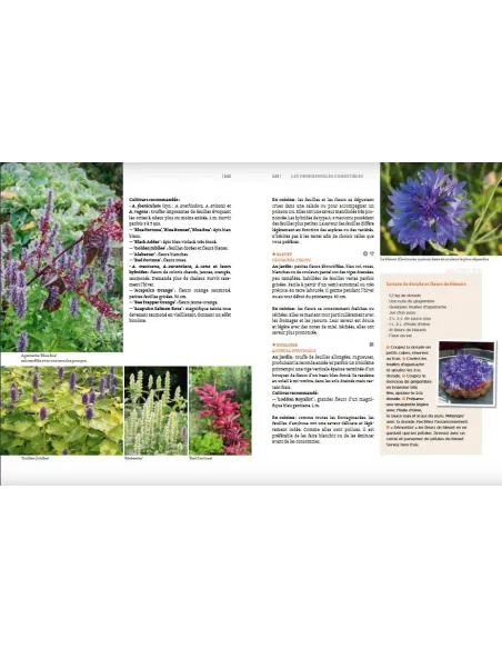 Toutes les plantes belles et comestibles