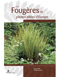 Les Fougères et plantes alliées d'Europe