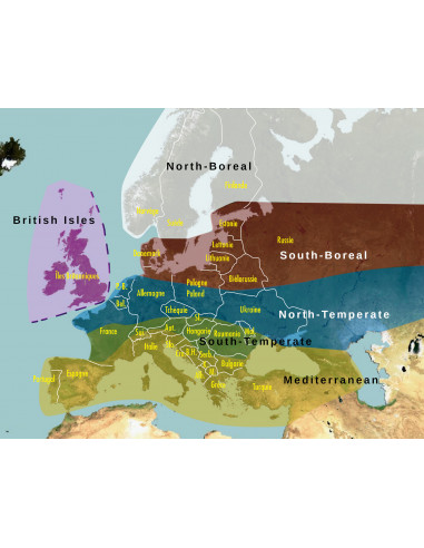 SonoChiro 1 an - Logiciel de traitement automatique d'enregistrements d'ultrasons de chauves-souris
