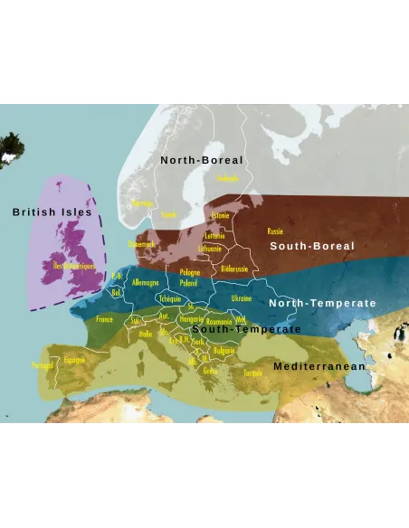 SonoChiro University Version - Software for automatic analysis of bat records