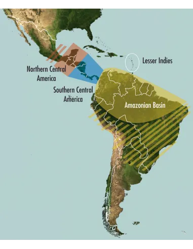 SonoChiro University Version - Software for automatic analysis of bat records