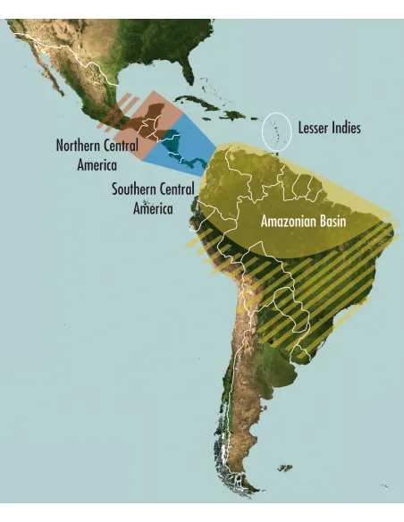 SonoChiro University Version - Software for automatic analysis of bat records
