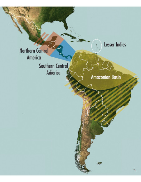 SonoChiro Universitaire - Logiciel de traitement automatique d'enregistrements d'ultrasons de chauves-souris