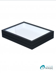 Black entomological box with glass lid 23x30x5,4 cm