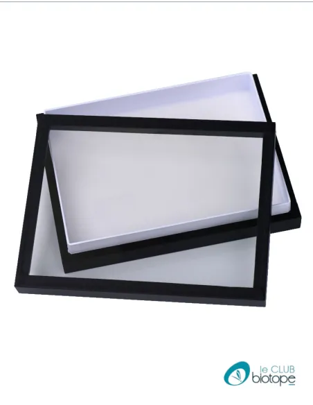 Boite entomologique noire avec couvercle verre 23x30x5,4 cm