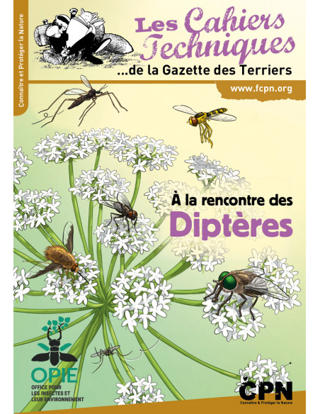 A la rencontre des diptères