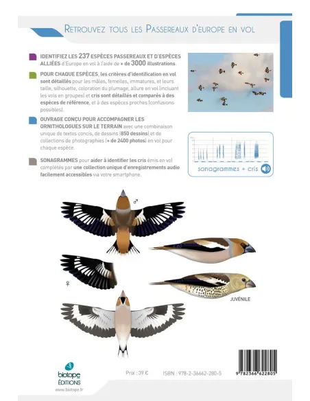 Cahier d'identification des Passereaux d'Europe en Vol