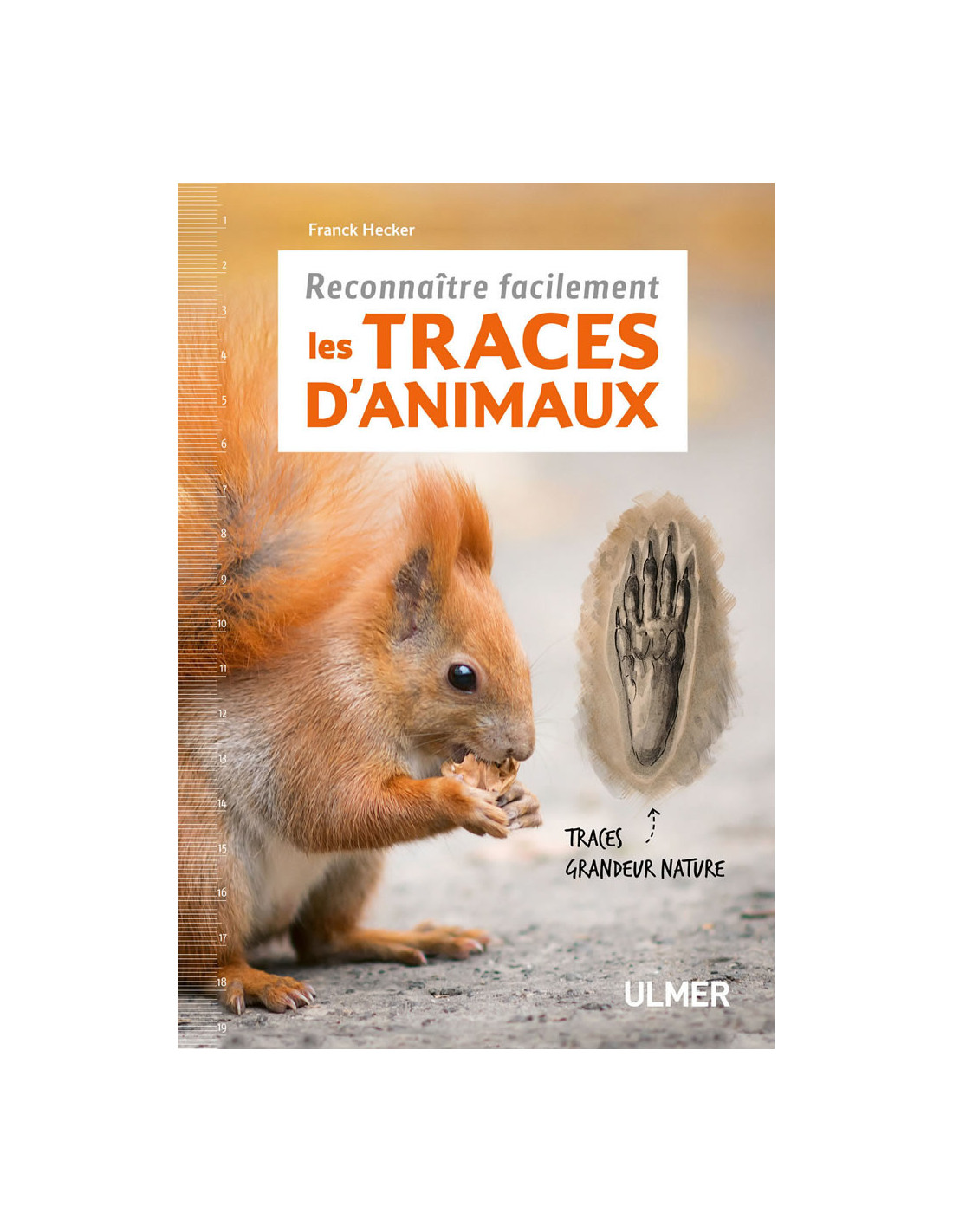 Les animaux des forêts françaises (1ère partie) - Dictionnaire des animaux