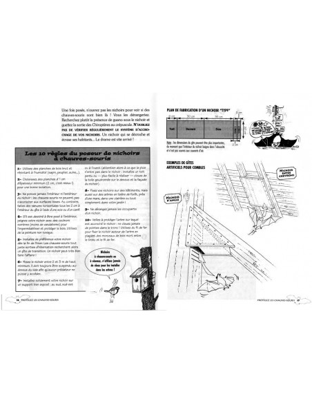 Protéger les chauves-souris