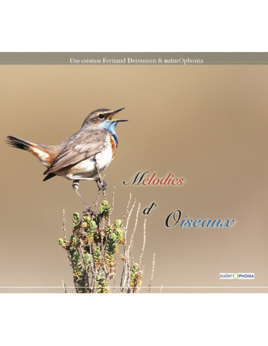 Guide sonore (CD) mélodies d'oiseaux