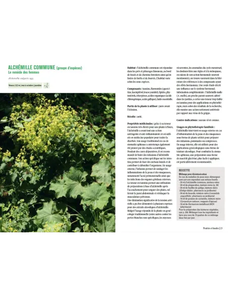 Plantes sauvages médicinales - Les 50 plantes essentielles et leurs usages