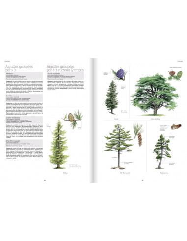 Le grand livre de la Nature