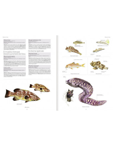 Le grand livre de la Nature