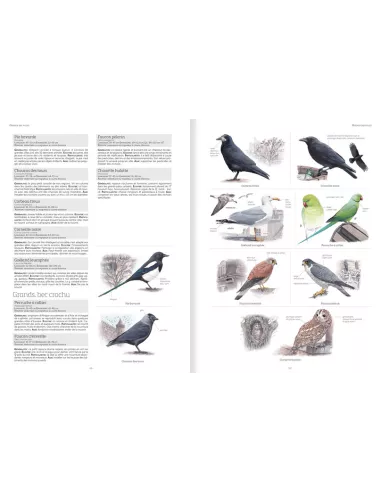 Le grand livre de la Nature