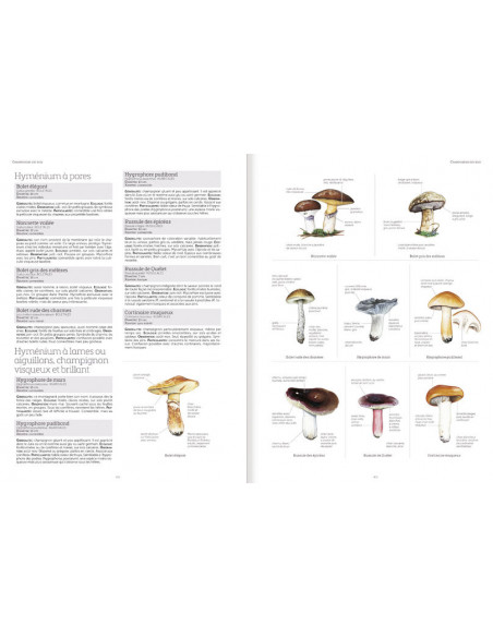 Le grand livre de la Nature