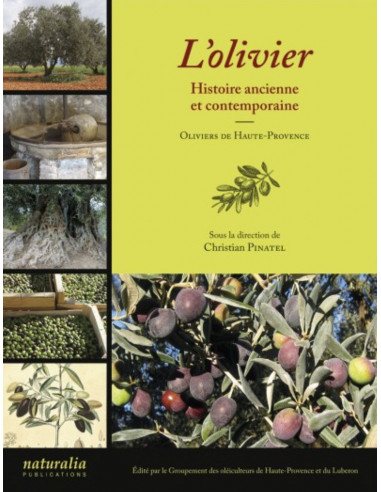 L’olivier - Histoire ancienne et contemporaine