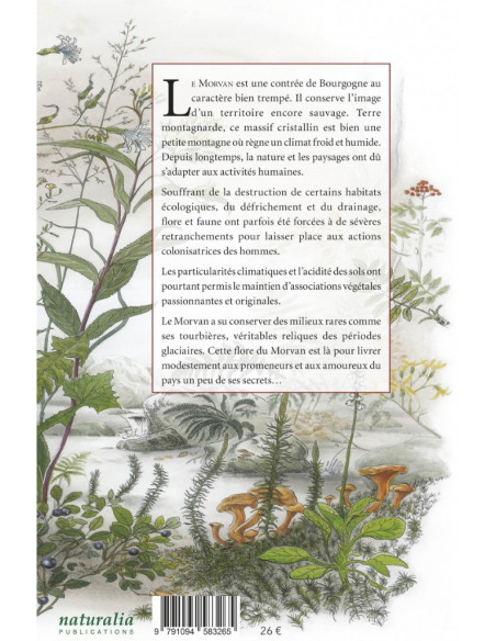 Flore du Morvan - 625 espèces illustrées