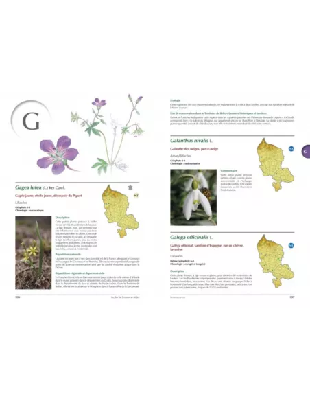 Atlas de la flore du Territoire de Belfort