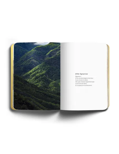 Loup - Un voyage poétique à la recherche du loup