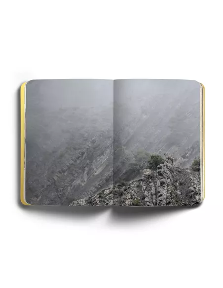 Loup - Un voyage poétique à la recherche du loup