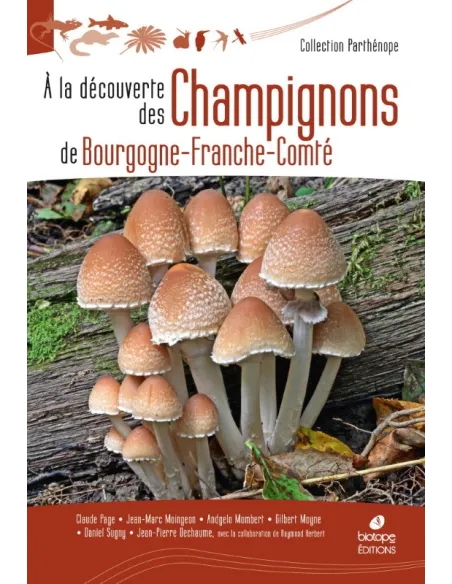 A la découverte des Champignons de Bourgogne-Franche-Comté