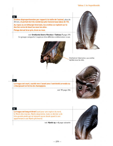 Les Chauves-souris de France, Belgique, Luxembourg et Suisse - 3ème édition