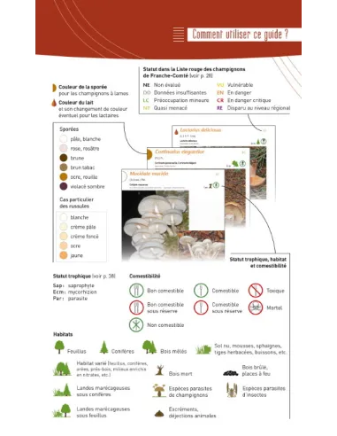 A la découverte des Champignons de...