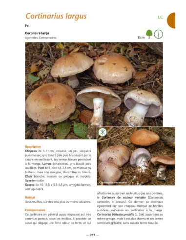 A la découverte des Champignons de...