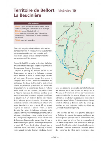 A la découverte des Champignons de Bourgogne-Franche-Comté