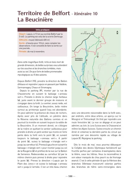 A la découverte des Champignons de Bourgogne-Franche-Comté