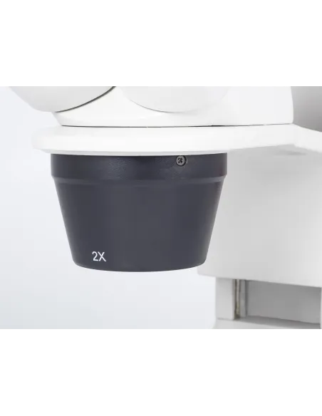 Loupe binoculaire MOTIC RED 30S avec poignée / 20X-40X