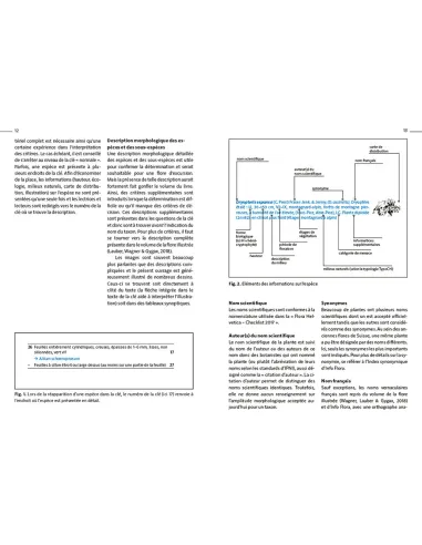 Flora Helvetica - Guide d'excursions...