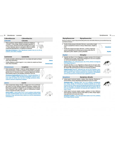 Flora Helvetica - Guide d'excursions...