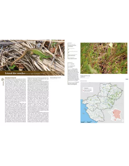 Atlas des amphibiens et des reptiles des Pays de la Loire