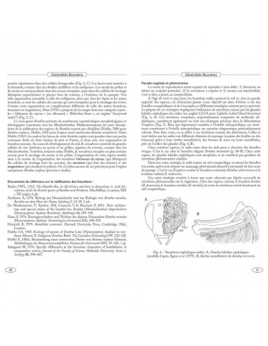 Bourdons d'Europe et des contrées voisines - Hyménoptères d'Europe