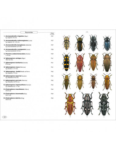 Coléoptères phytophages d'Europe -...