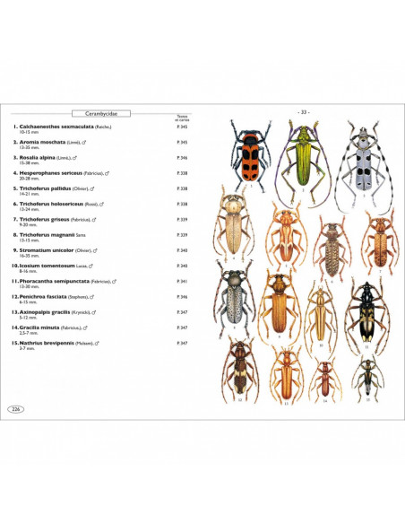 Coléoptères phytophages d'Europe - Tome 1