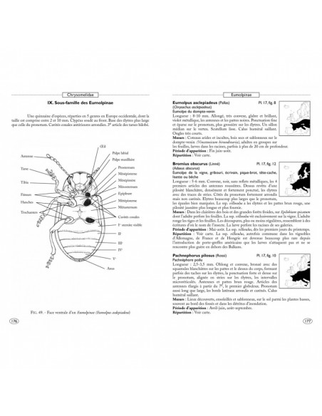 Coléoptères phytophages d'Europe, Tome 2 : Chrysomelidae