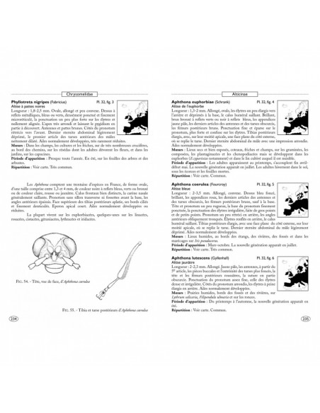 Coléoptères phytophages d'Europe, Tome 2 : Chrysomelidae